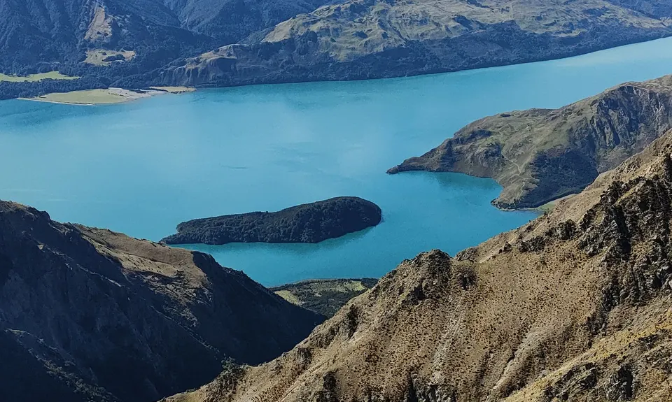 Dingle & Corner, Otago