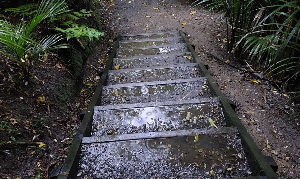 Dingle Dell Path, Auckland
