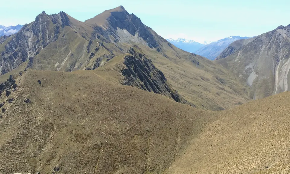 Dingle & Corner, Otago