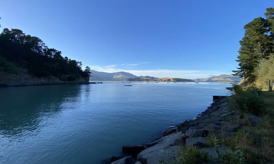 Dog Sniffing Rhythms - Harbour Crusin', Canterbury