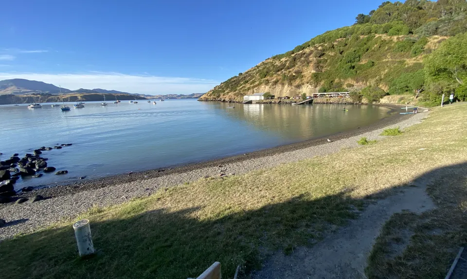 Dog Sniffing Rhythms - Harbour Crusin', Canterbury