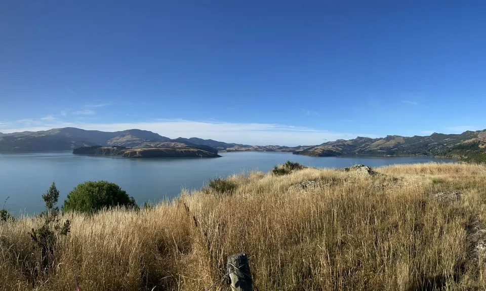 Dog Sniffing Rhythms - Harbour Crusin', Canterbury
