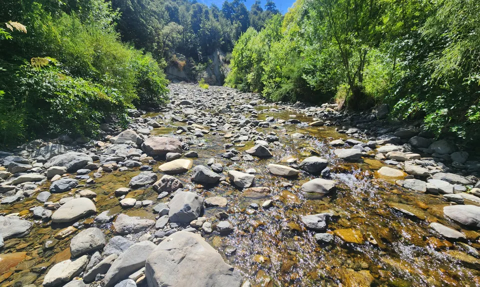 Double Mt Grey, Canterbury