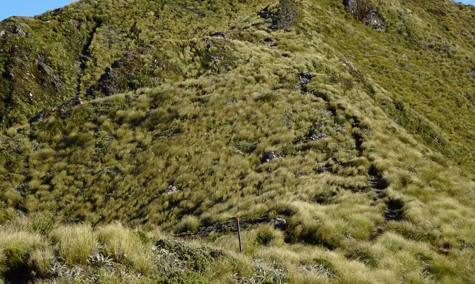 Mount Holdsworth
