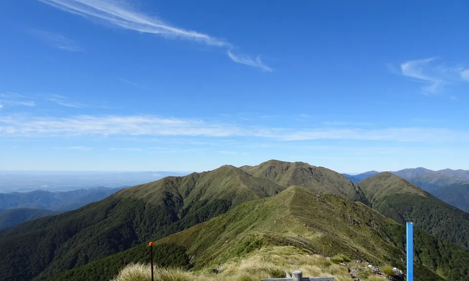 Jumbo/Pukeahurangi