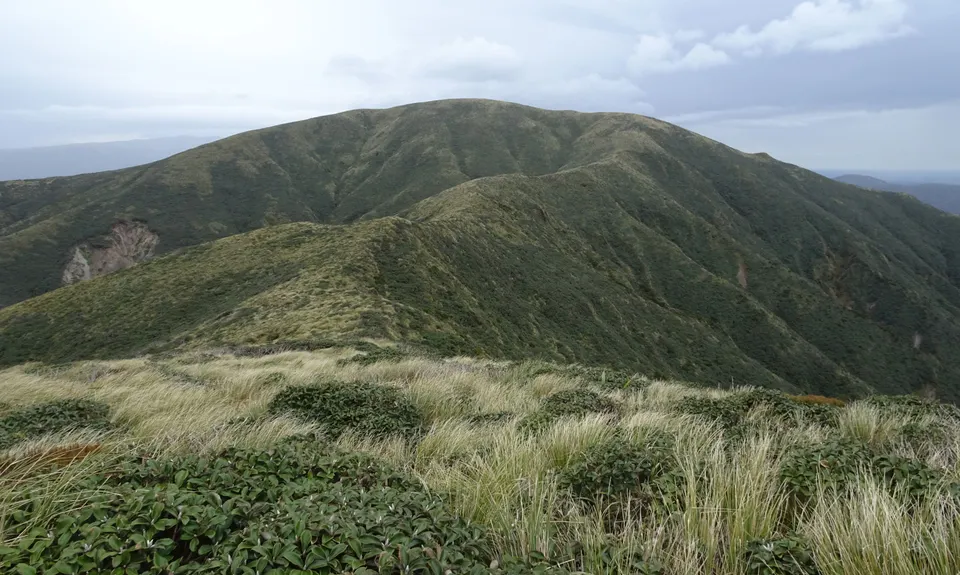Whaingapuna