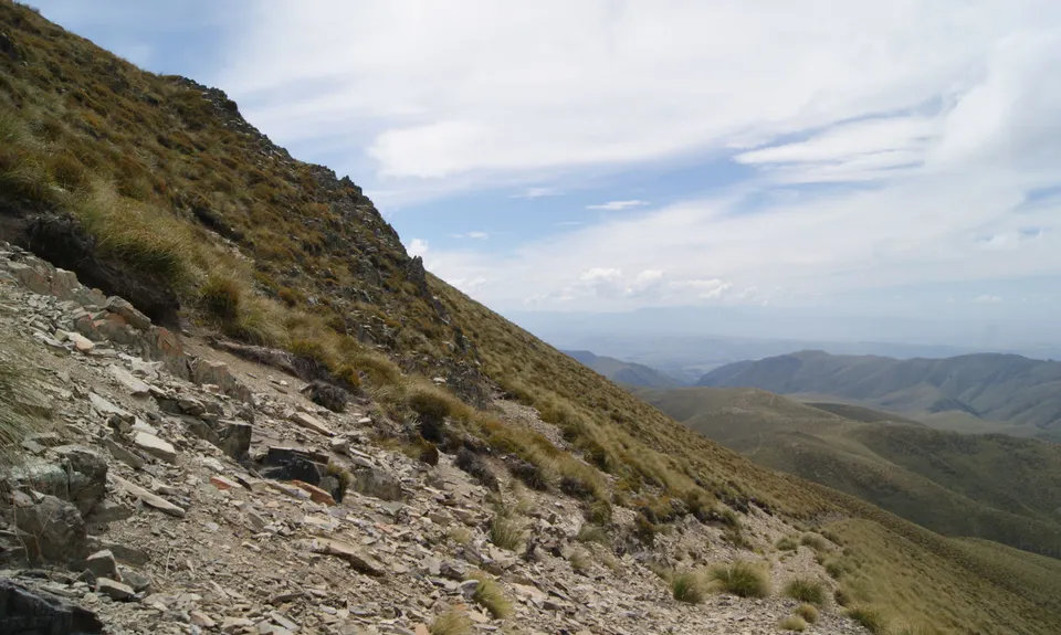 Mt Nimrod Easement Track, Canterbury