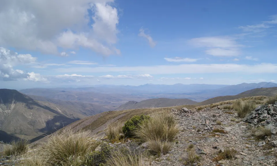 Mt Nimrod Easement Track, Canterbury