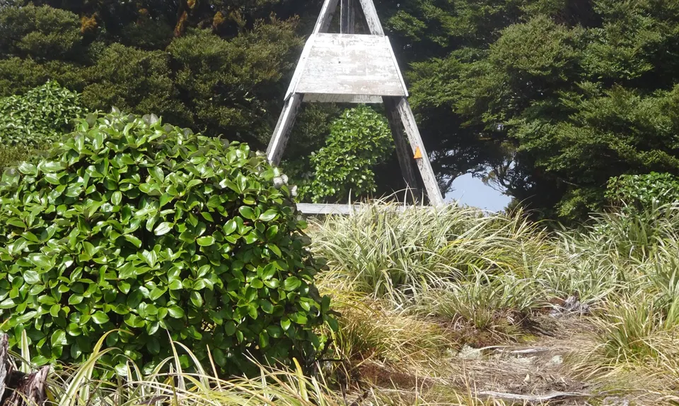 Kapakapanui