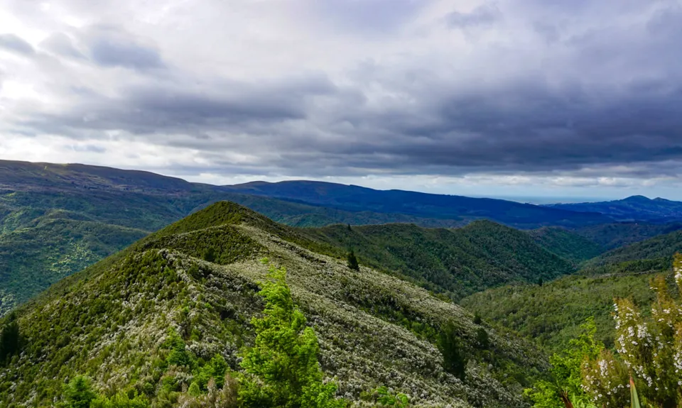 Whare Flat to Pulpit Rock , Otago
