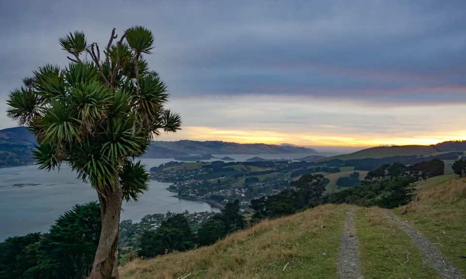 Karetai Soldier, Otago