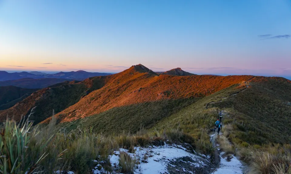 Silver Possum , Otago