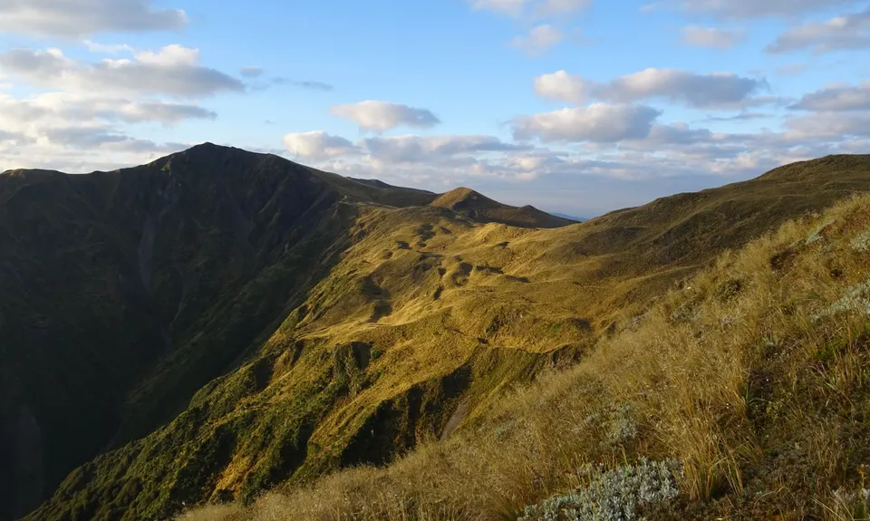 Hikurangi (Ruahines)