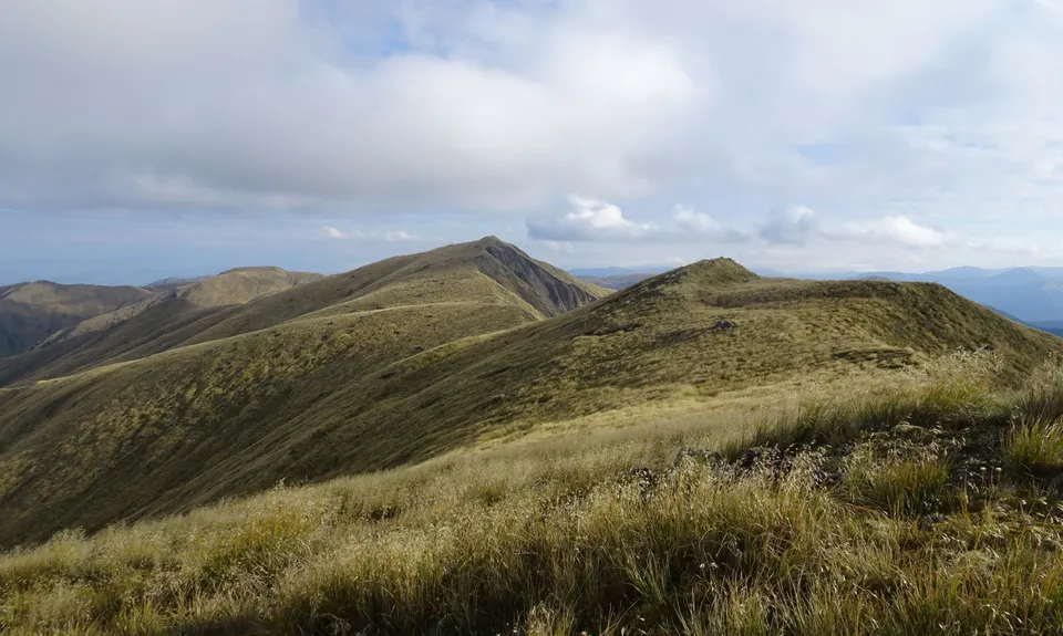 Hikurangi (Ruahines)