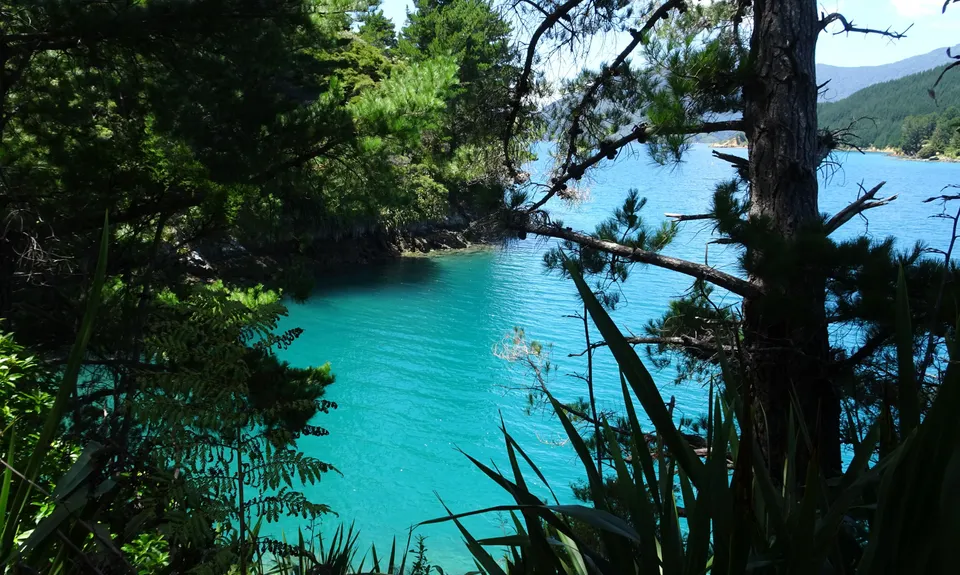 Piwakawaka Beach, Marlborough