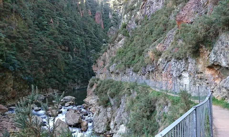 Karangahake Gold, Waikato