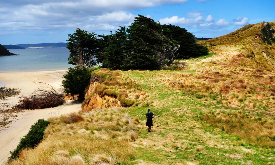 Rakiura Track, Southland