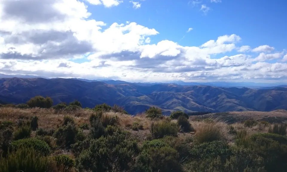 Mt Thomas via Ridge Track, Canterbury