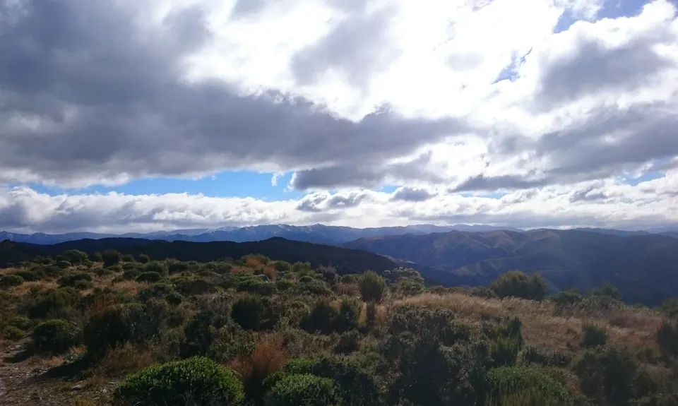 Mt Thomas via Ridge Track, Canterbury