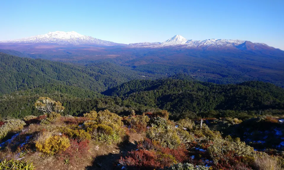 Mt Urchin Magic, Waikato