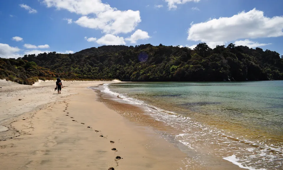 Rakiura Track, Southland