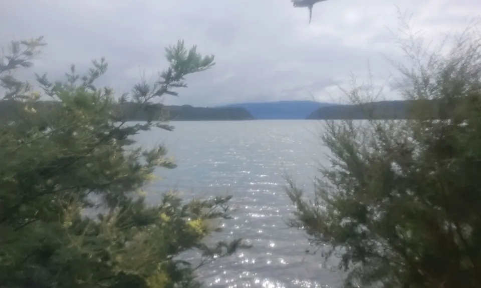 Tarawera Trail Route Recce, Bay of Plenty
