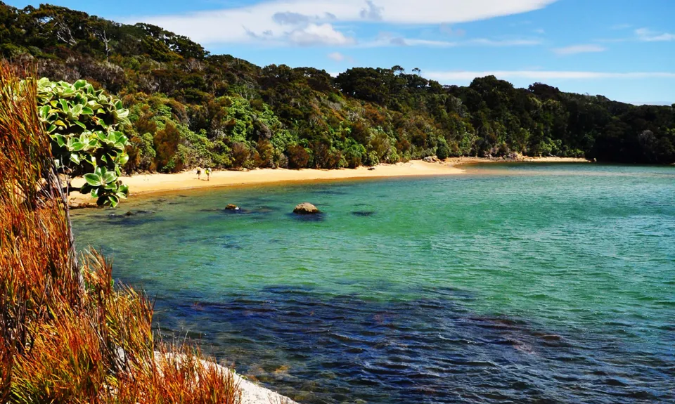 Rakiura Track, Southland