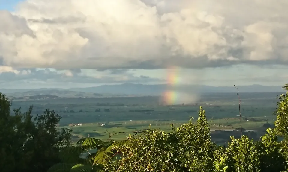 Hilly Hakarimata, Waikato