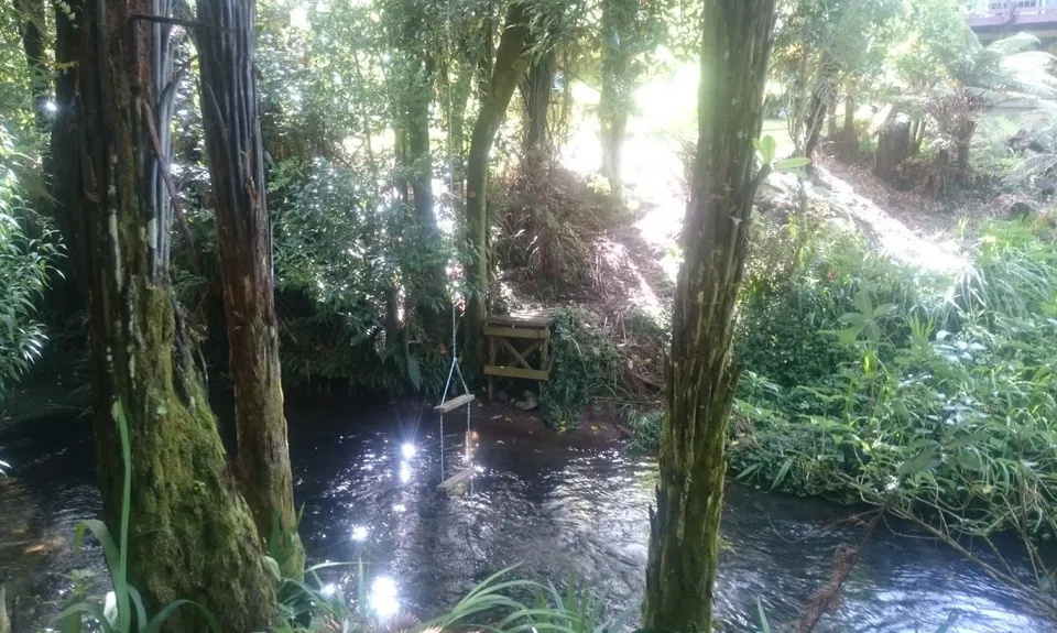 Ninja Stealth Urban Trail, Taranaki