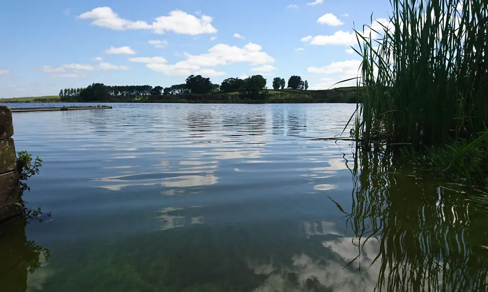 Lake Ngaroto, Waikato