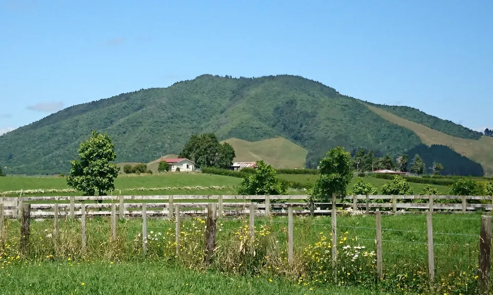 Kakepuku Climb, Waikato