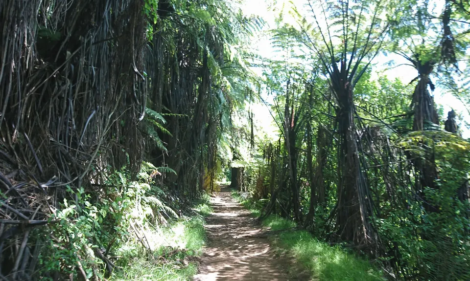 Kakepuku Climb, Waikato