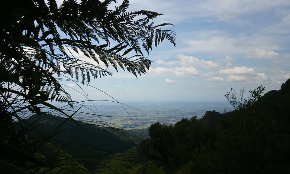 Pirongia Loop of Awesomeness, Waikato