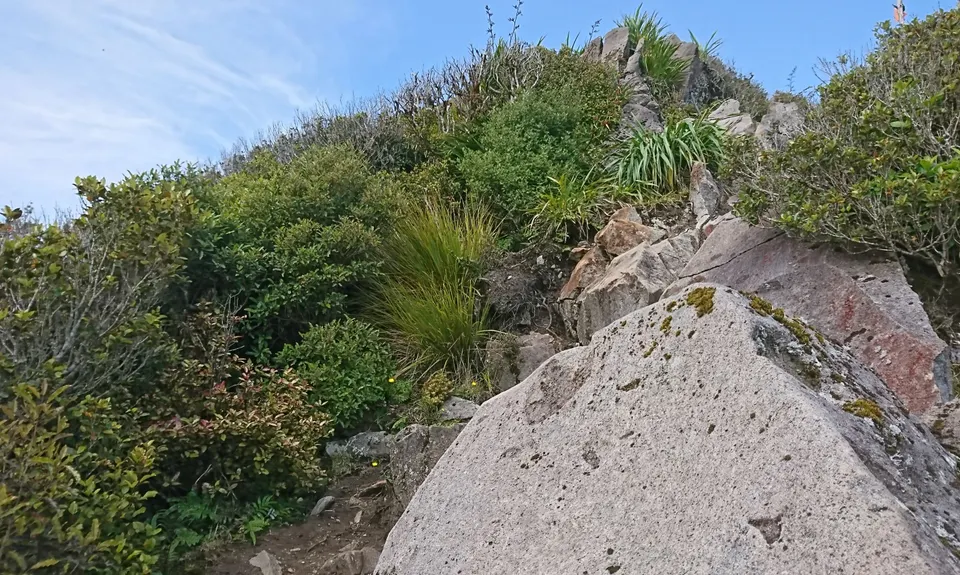 Pirongia Loop of Awesomeness, Waikato