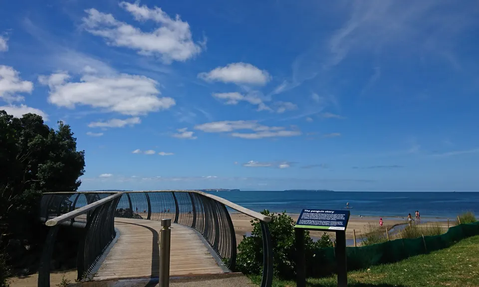 Campbells to Browns Bay, Auckland