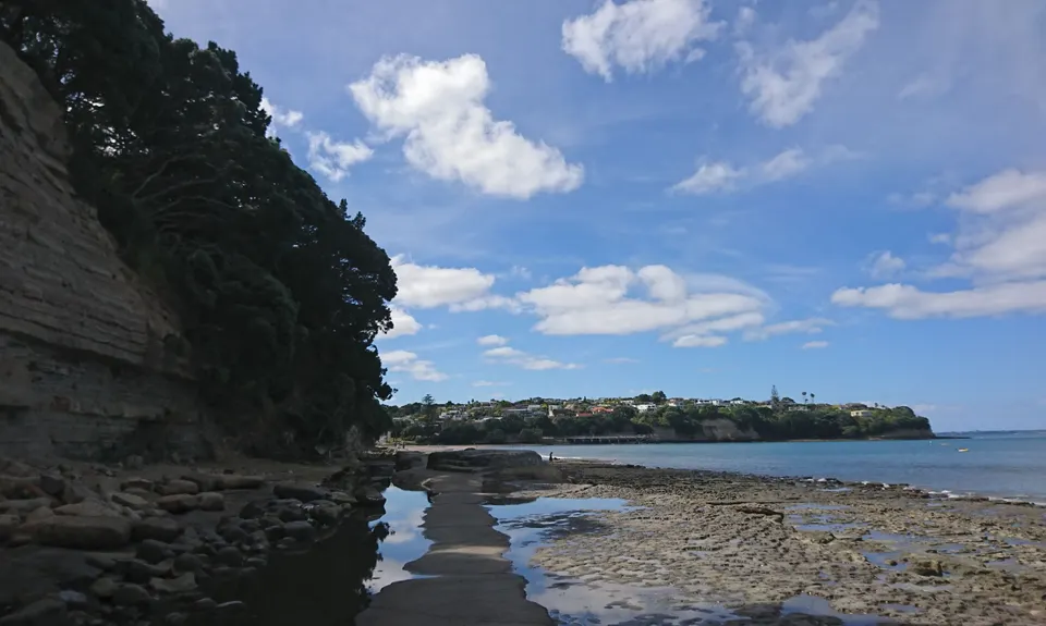 Campbells to Browns Bay, Auckland
