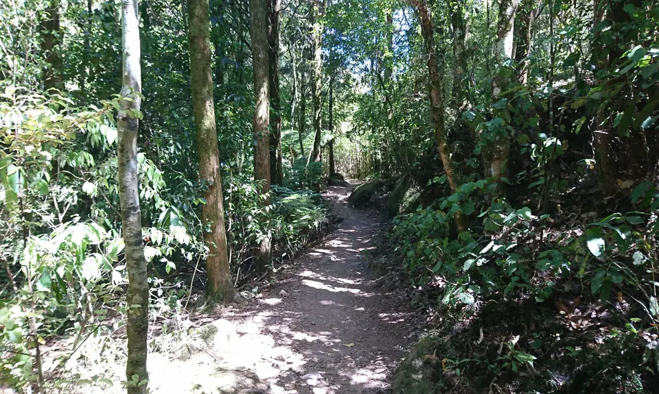 Wairere Falls, Waikato