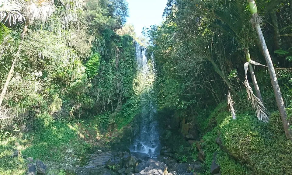 Harker Reserve to Vivian Falls, Waikato