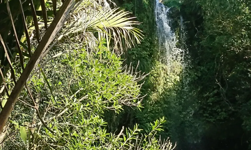 Harker Reserve to Vivian Falls, Waikato