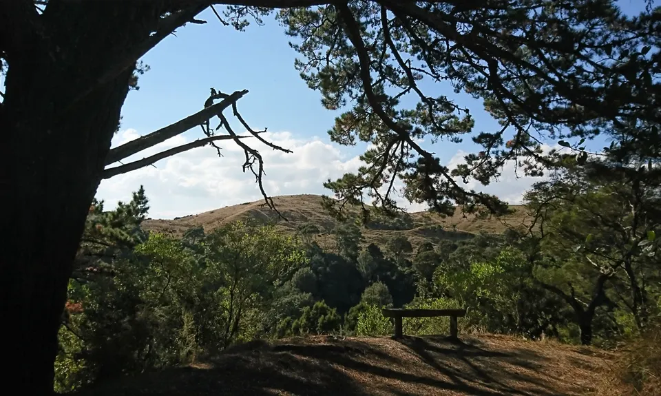 Harker Reserve to Vivian Falls, Waikato