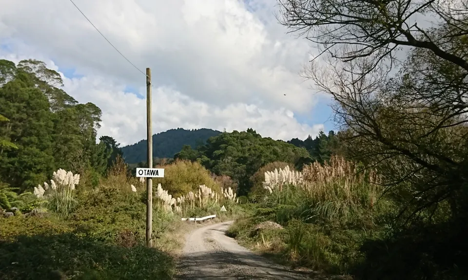 Otawa Lodge & Otawa Trig Loop, Bay of Plenty