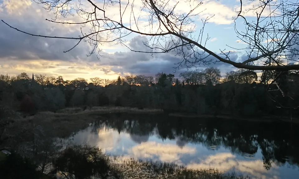 Te Koutu Has It All, Waikato
