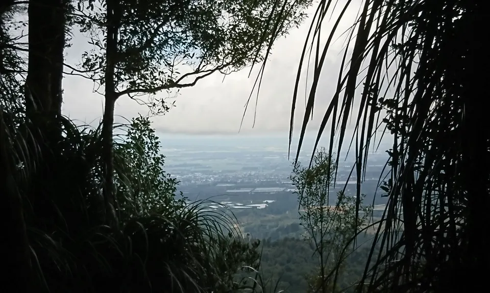 Otawa Lodge & Otawa Trig Loop, Bay of Plenty