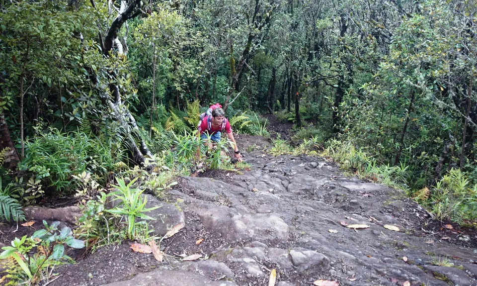 Pirongia Loop of Awesomeness, Waikato