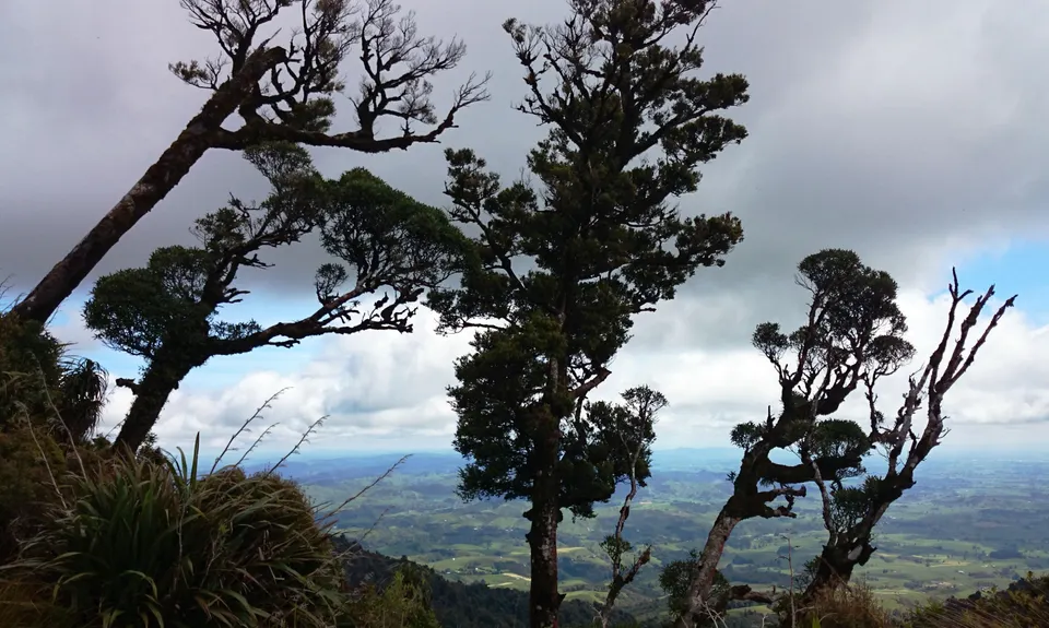 Pirongia Loop of Awesomeness, Waikato