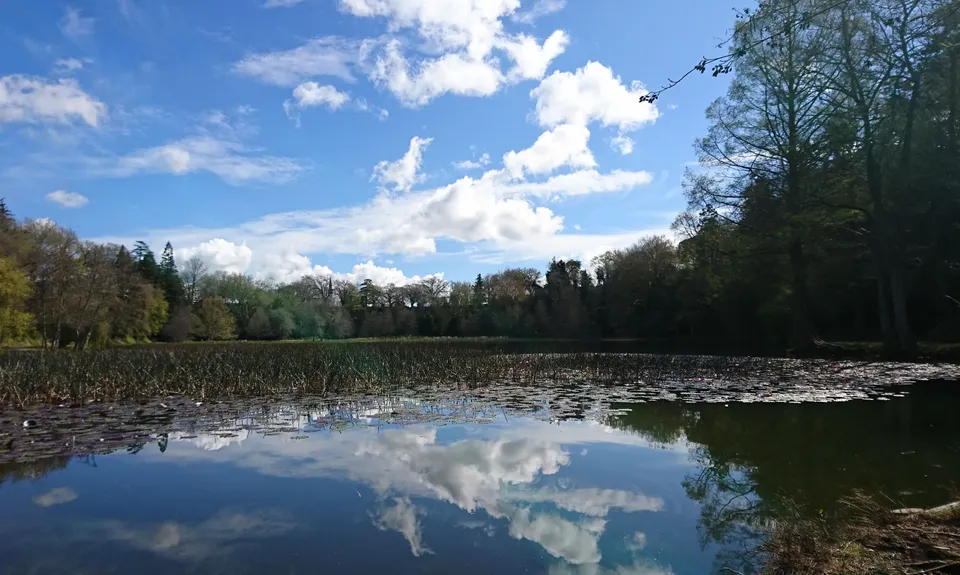 Te Koutu Has It All, Waikato