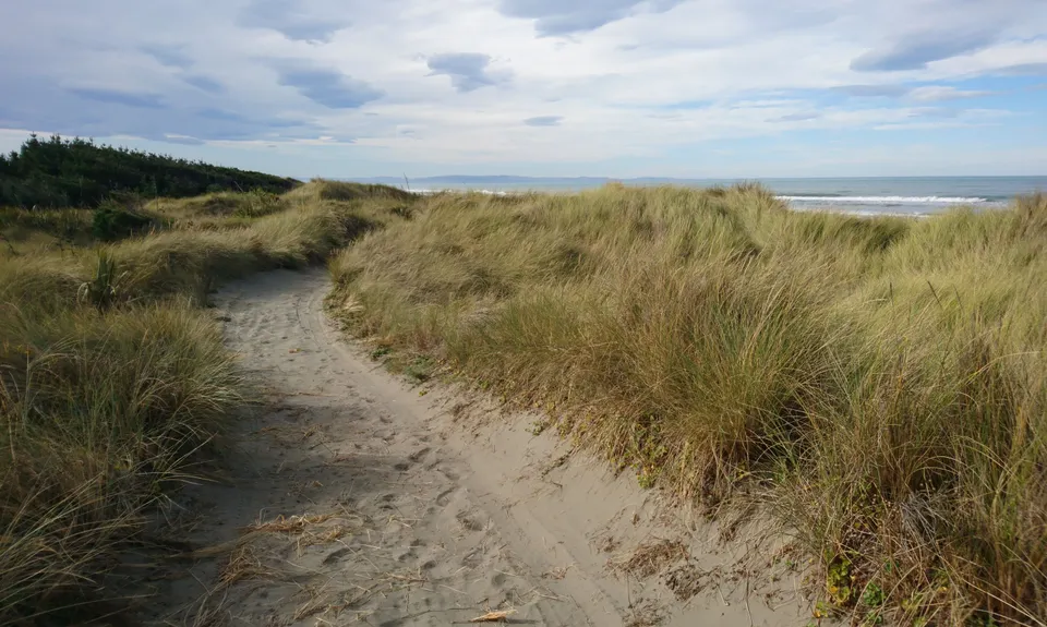 Dune Bugging, Canterbury