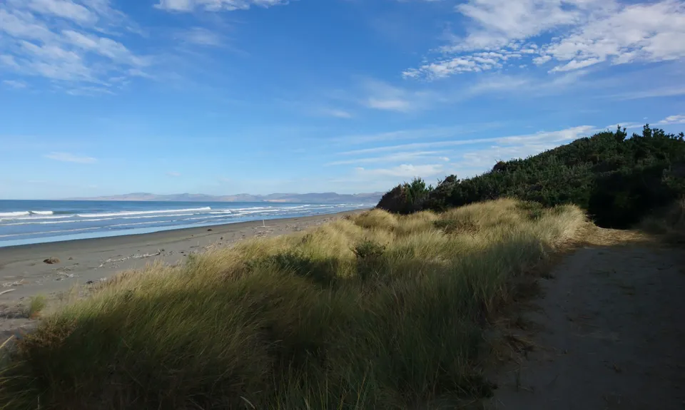 Dune Bugging, Canterbury