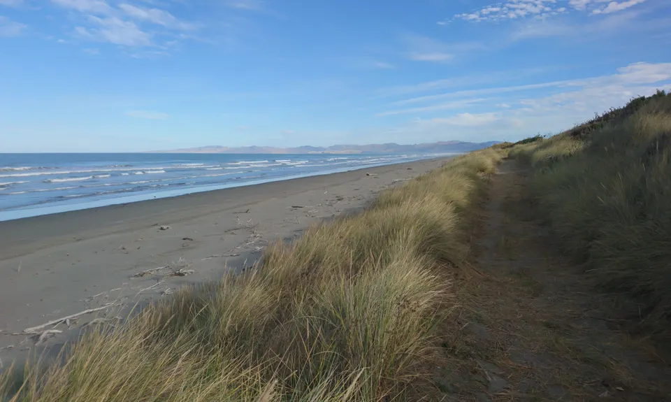 Dune Bugging, Canterbury