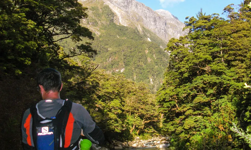 Milford Track , Southland